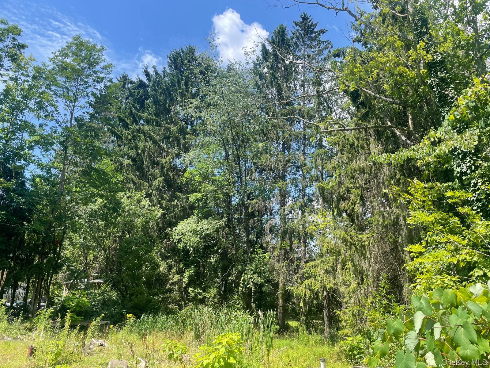 33 Dudley Street Harveys Lake, Pennsylvania Street