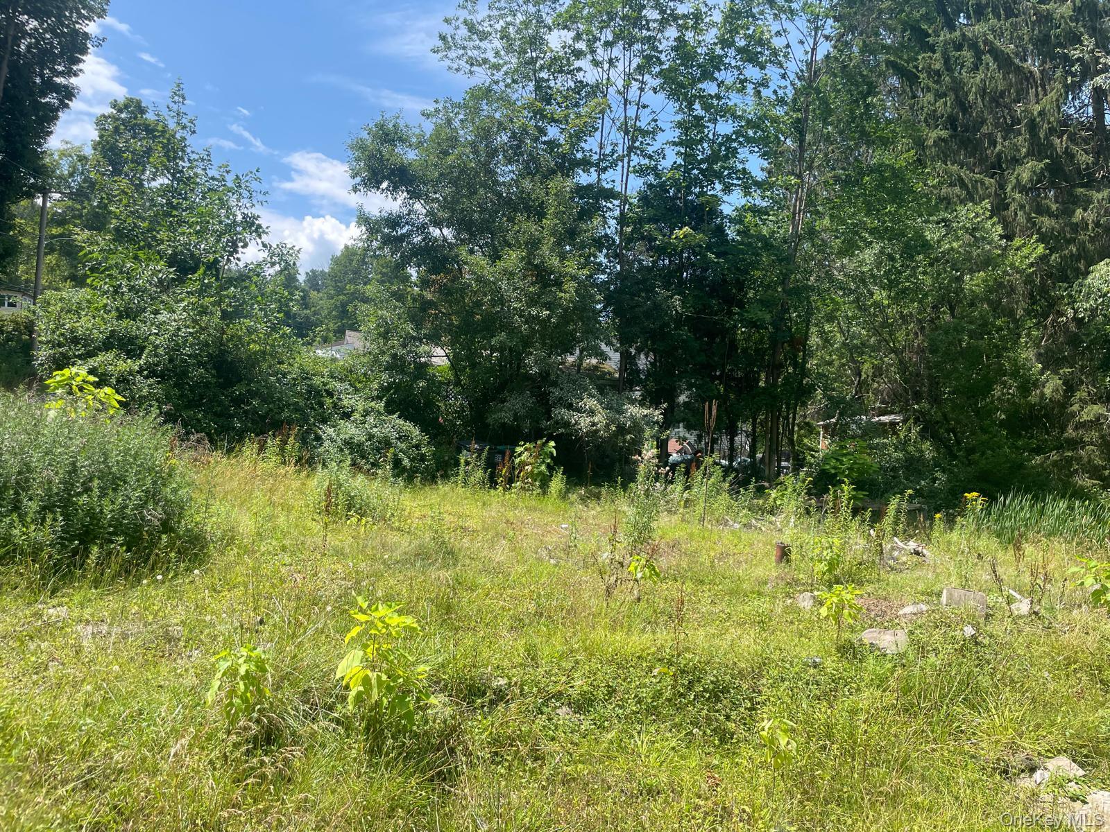 33 Dudley Street Harveys Lake, Pennsylvania Street