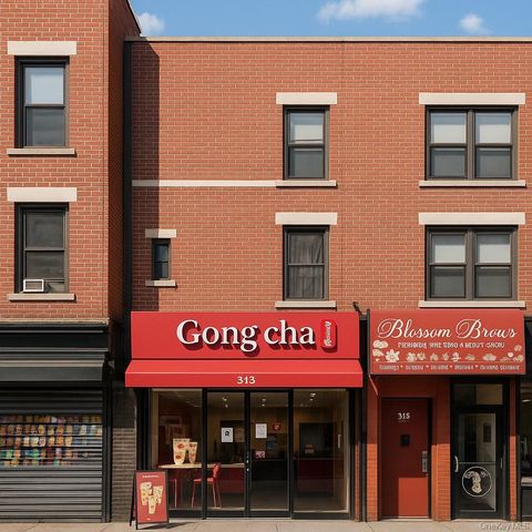 313 9th Street Brooklyn NY 11215