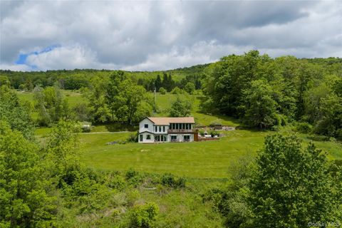 Homes For Sale - 822 Burton Hill Road<br/> Margaretville, NY 12455