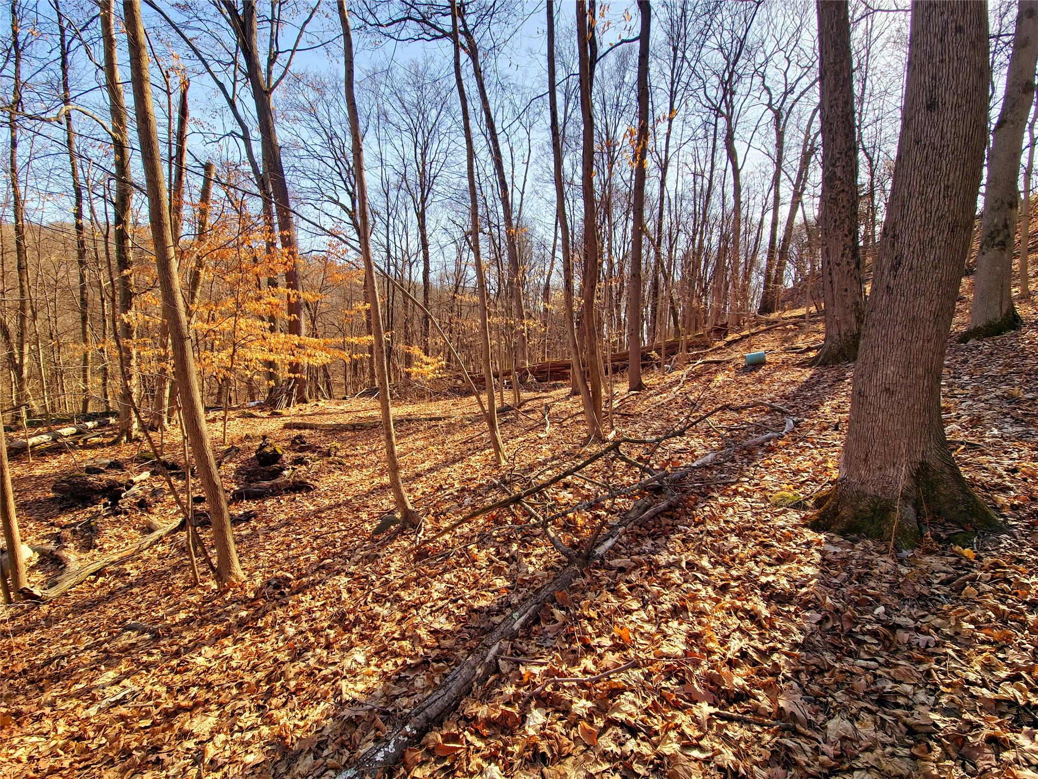 2668 N White Street, Highland, New York image 12