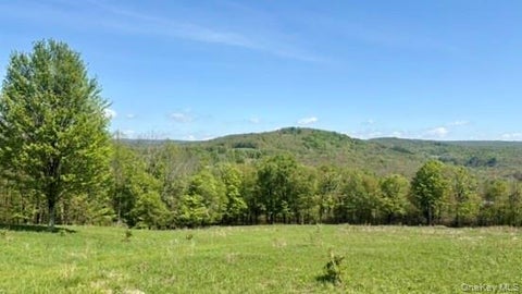 Vacant Land For Sale - 52 E Hill Road<br/> Jeffersonville, NY 12748