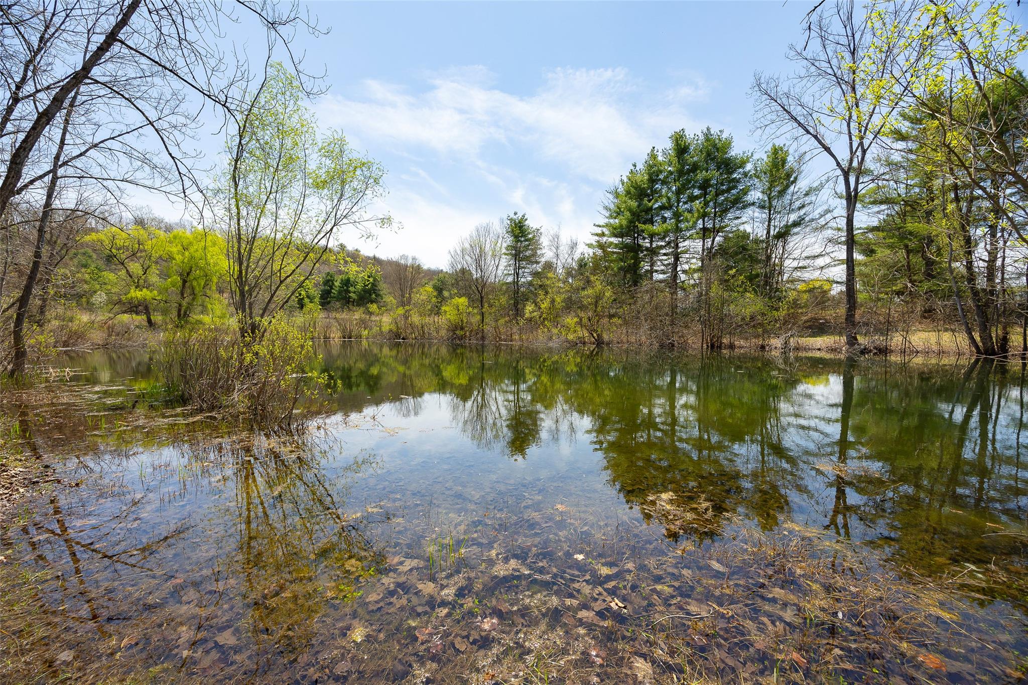 8 Traver Road, Staatsburg, New York image 41