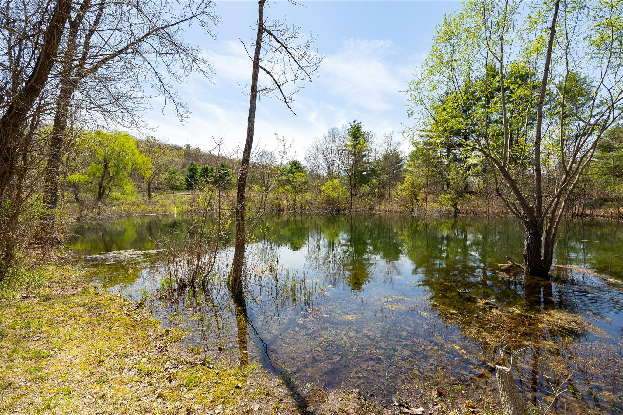 8 Traver Road, Staatsburg, New York image 39