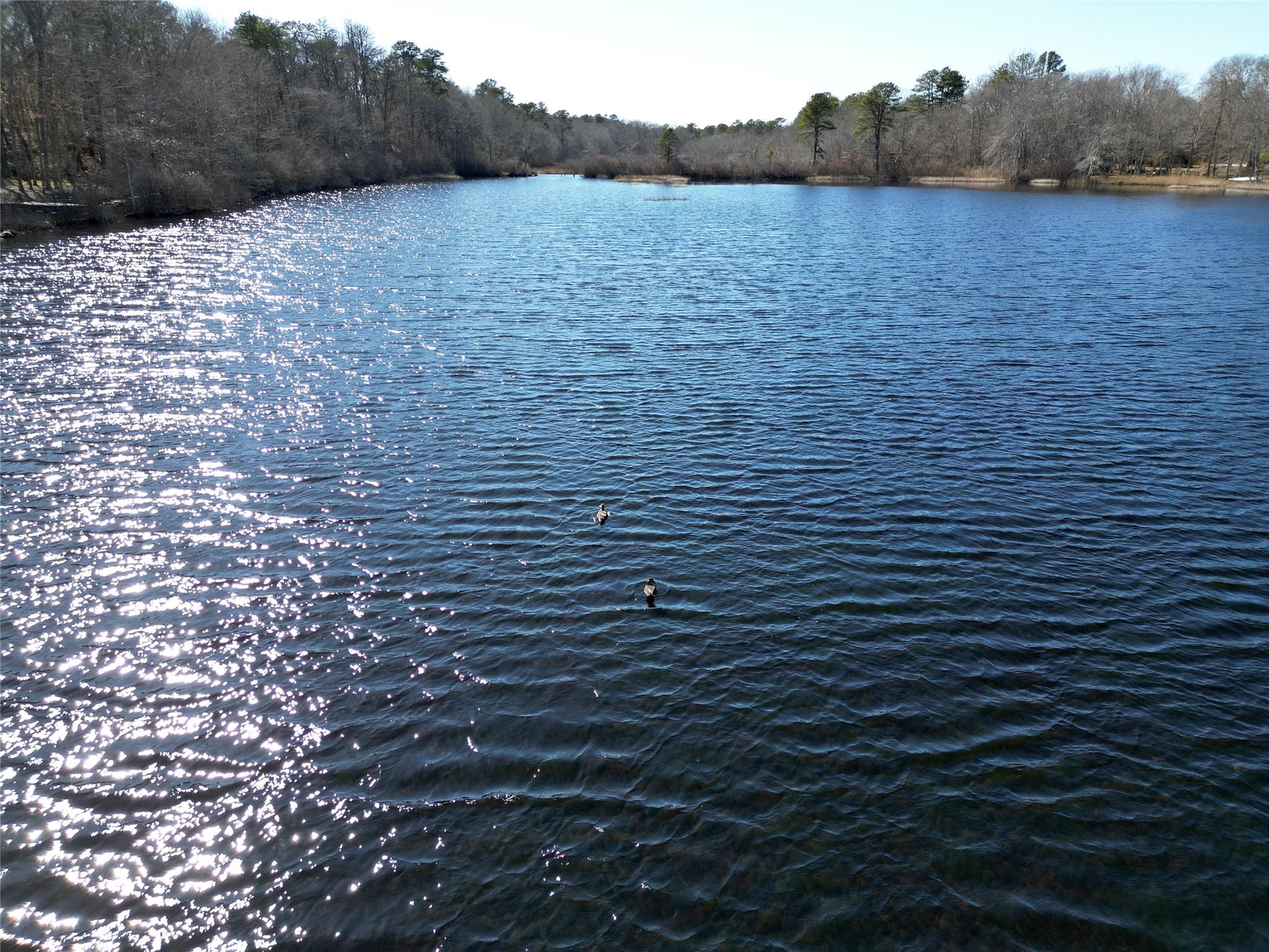 36 Mill Road, Calverton, New York image 32