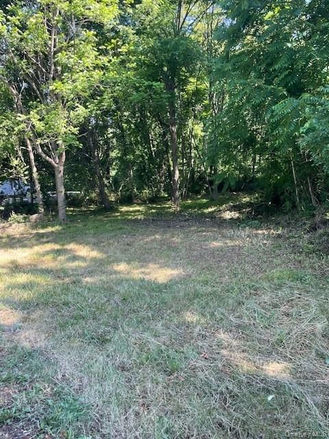 Vacant Land For Sale - 49 E Market Street<br/> Hyde Park, NY 12538