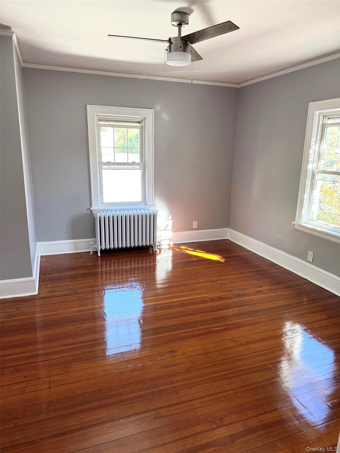 53 Madeleine Avenue 2