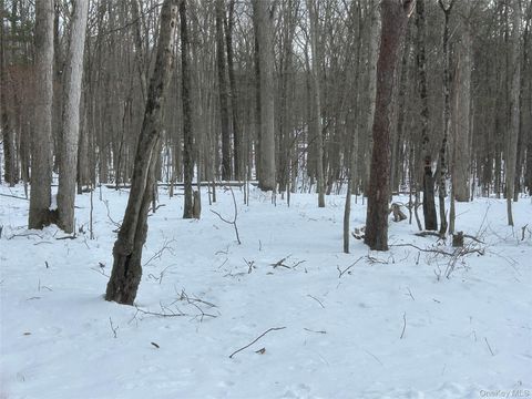 Vacant Land For Sale - Purple Sage Drive<br/> Barryville, NY 12719