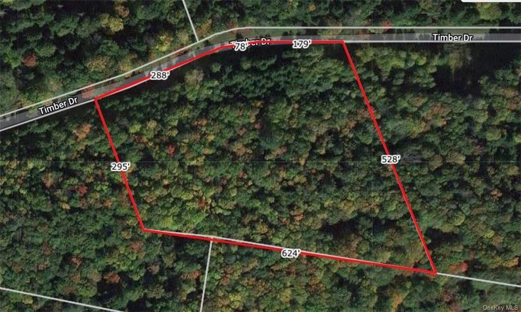 Lot 5 Timber Drive, Bethel, New York image 13