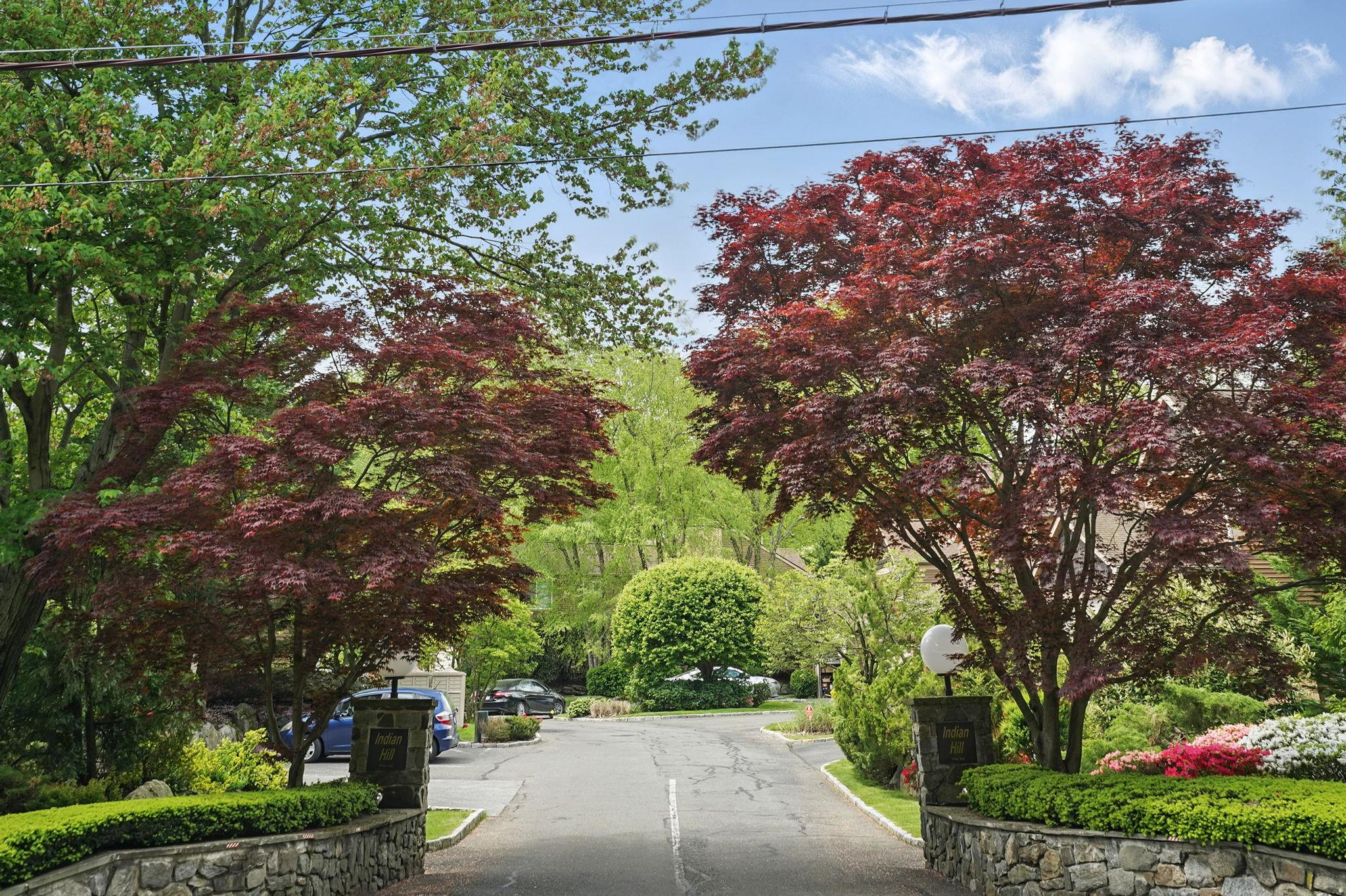 27 Indian Hill Road, New Rochelle, New York image 31