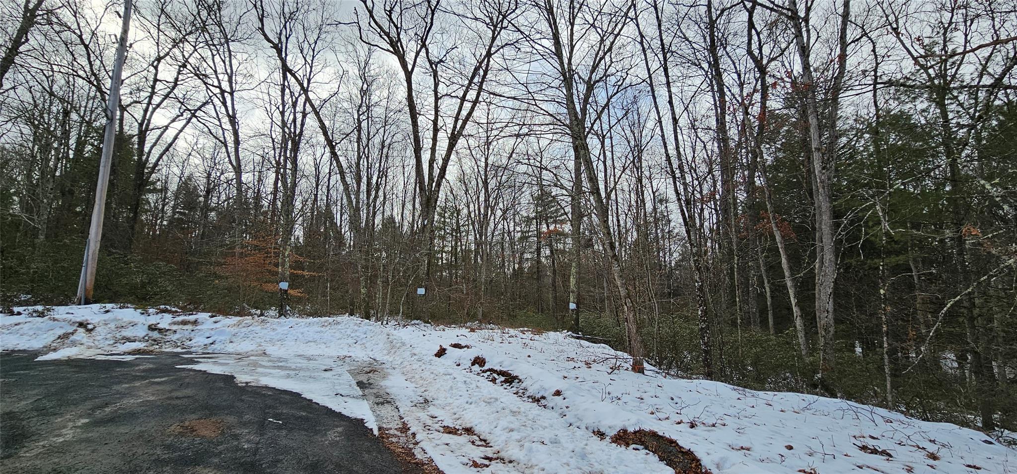 Lot 24 Brook Drive, Narrowsburg, New York image 12