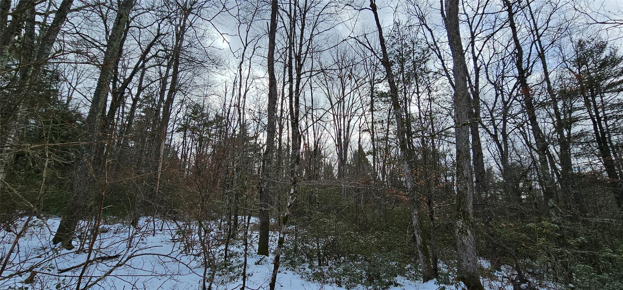 Lot 24 Brook Drive, Narrowsburg, New York image 15