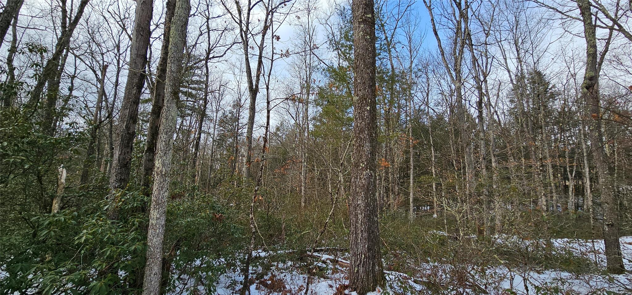 Lot 24 Brook Drive, Narrowsburg, New York image 3