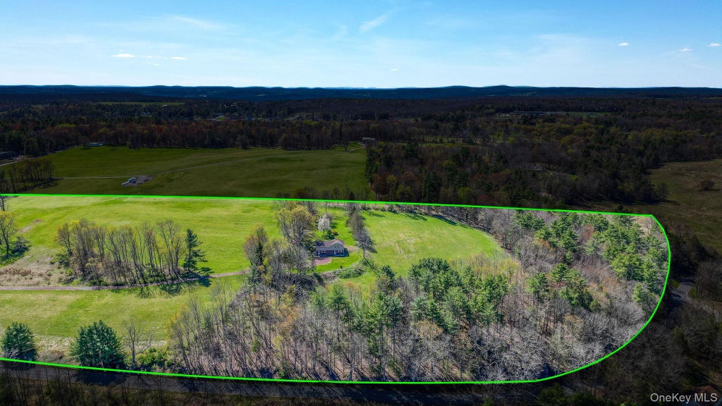 Photo of 208 Shortcut Road, Cochecton, NY 12726 (MLS # 1048798)