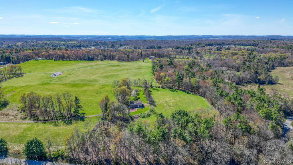 Photo of 208 Shortcut Road, Cochecton, NY 12726 (MLS # 1048798)
