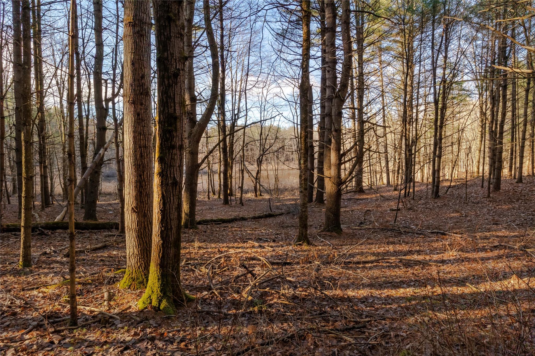 Riders Mills Road, Chatham, New York image 4