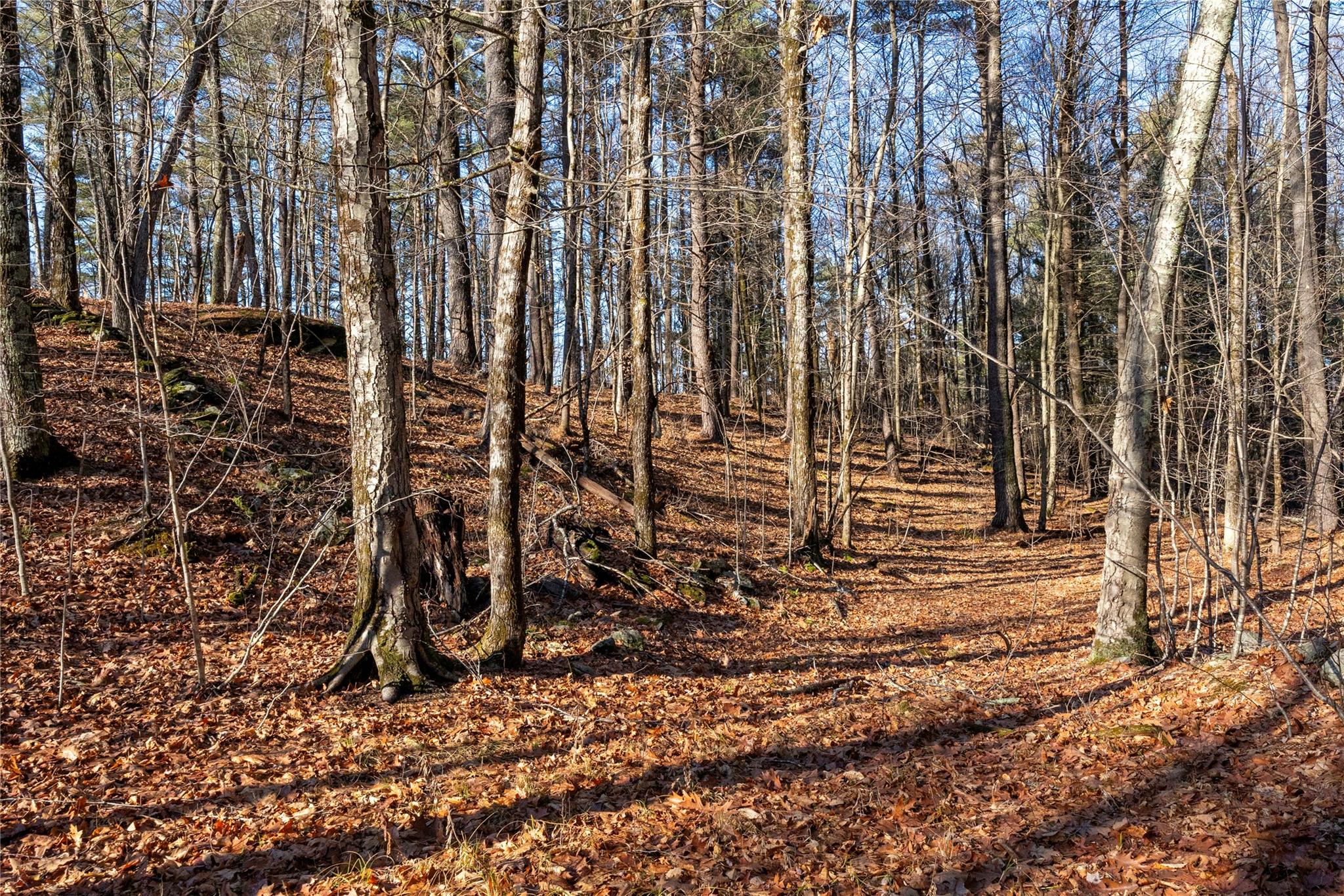 Riders Mills Road, Chatham, New York image 7