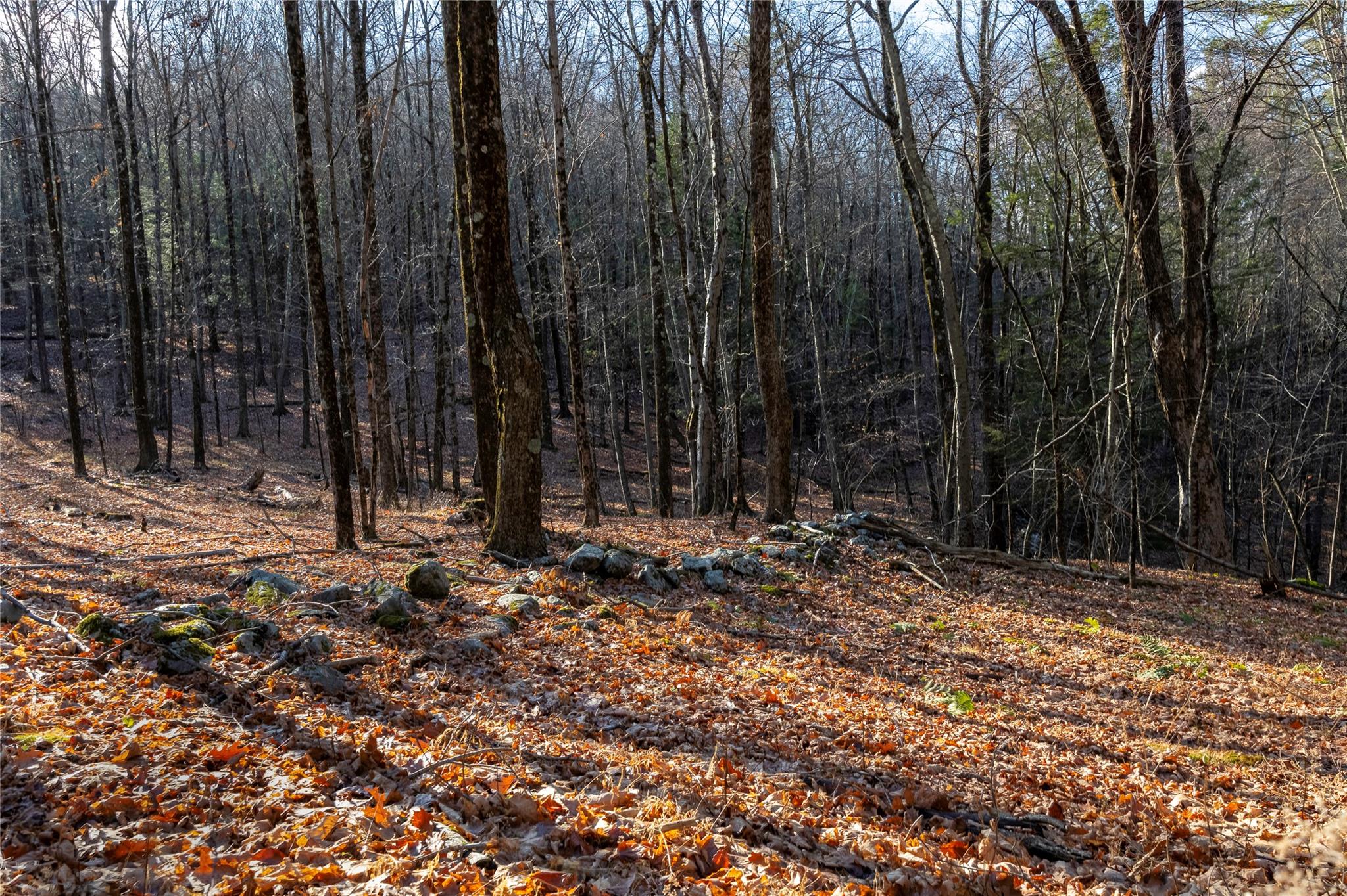 Riders Mills Road, Chatham, New York image 11