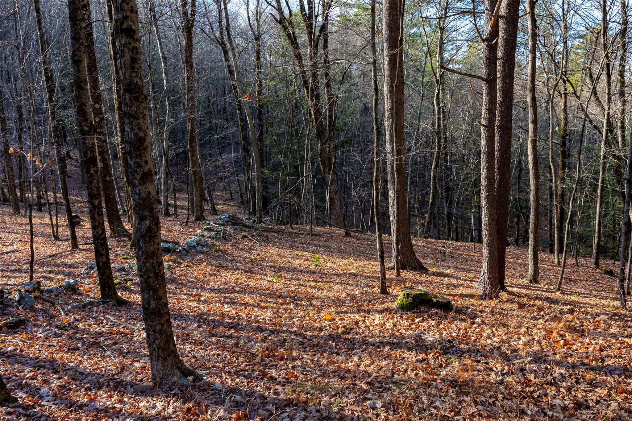 Riders Mills Road, Chatham, New York image 13