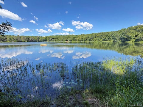 Vacant Land For Sale - 834 Delaware Lake Road<br/> Delaware County, Hancock, NY 13783