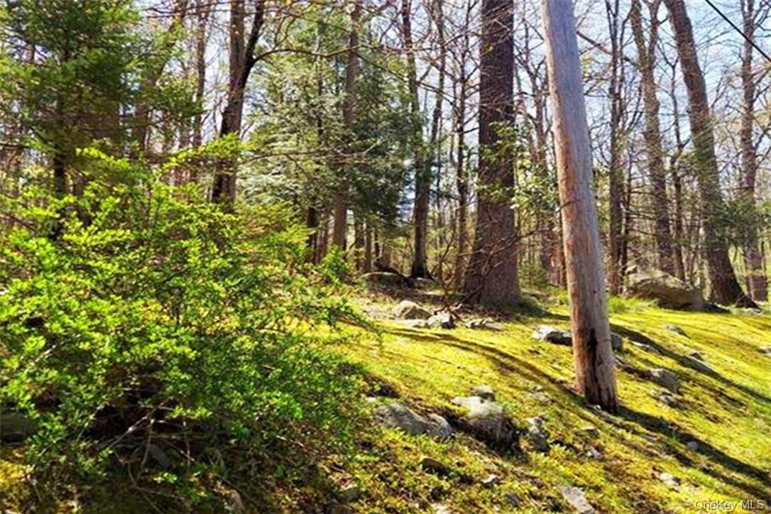 Pine Road & Pepperidge Road