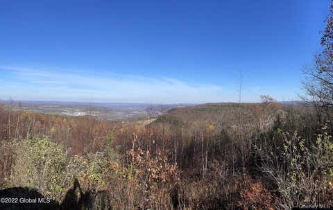 Vacant Land For Sale - L26 & L27 Ecker Hollow Road<br/> Cobleskill, NY 12043