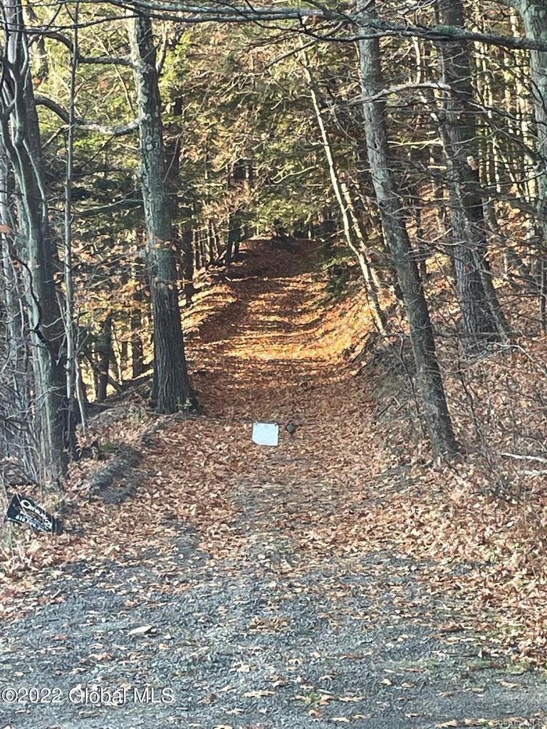 L26 & L27 Ecker Hollow Road