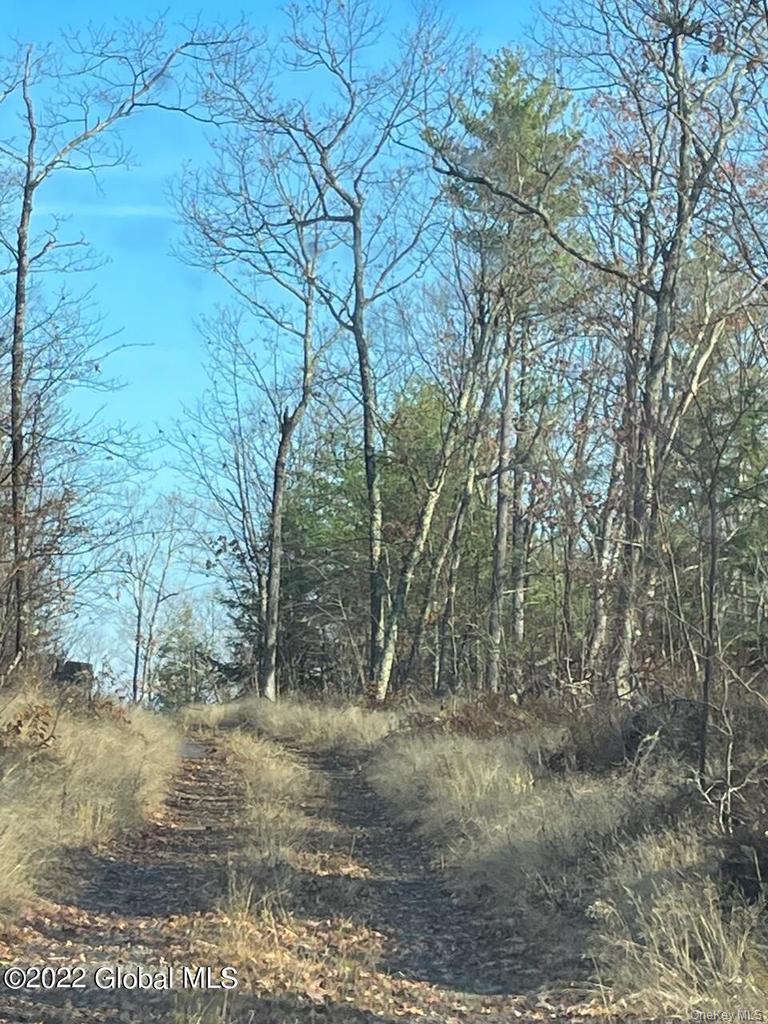 L26 & L27 Ecker Hollow Road