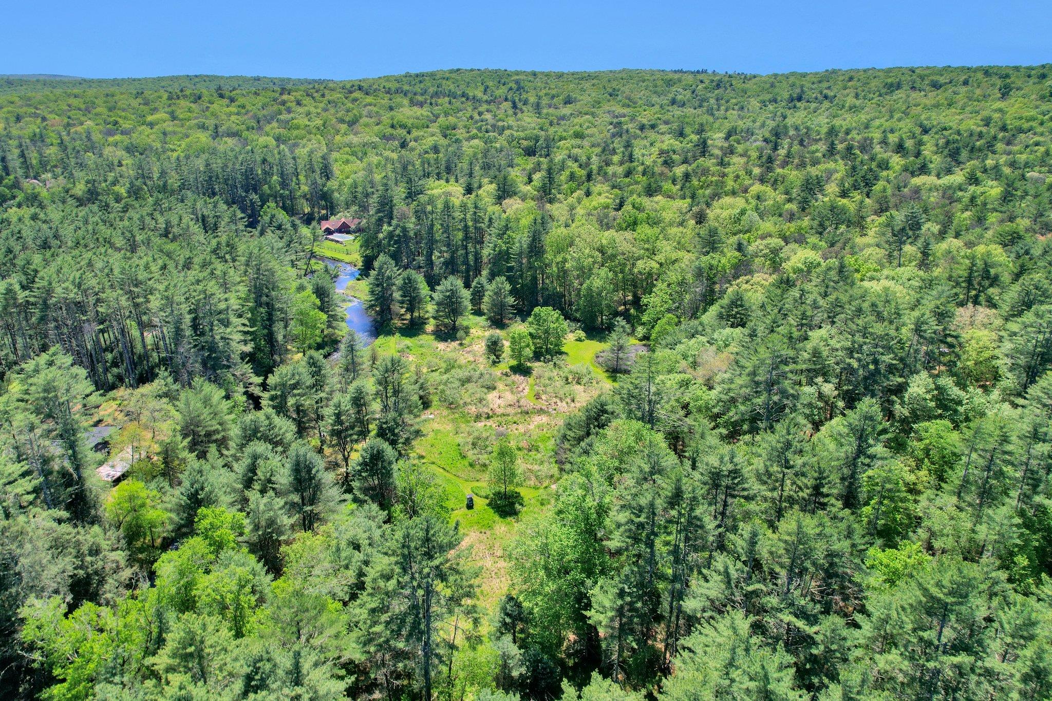 60 Park Road Extension, Eldred, New York image 14