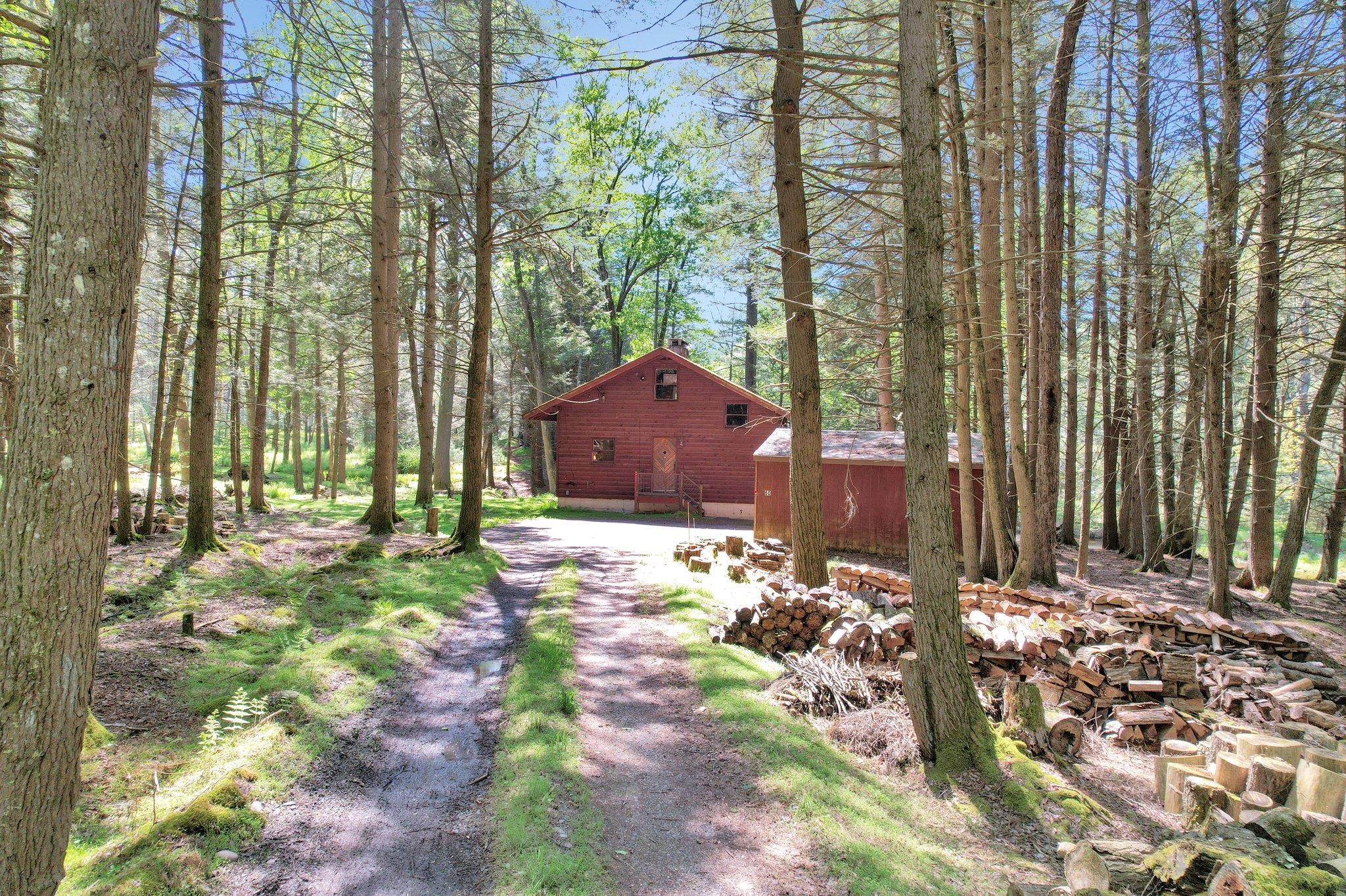 60 Park Road Extension, Eldred, New York image 3