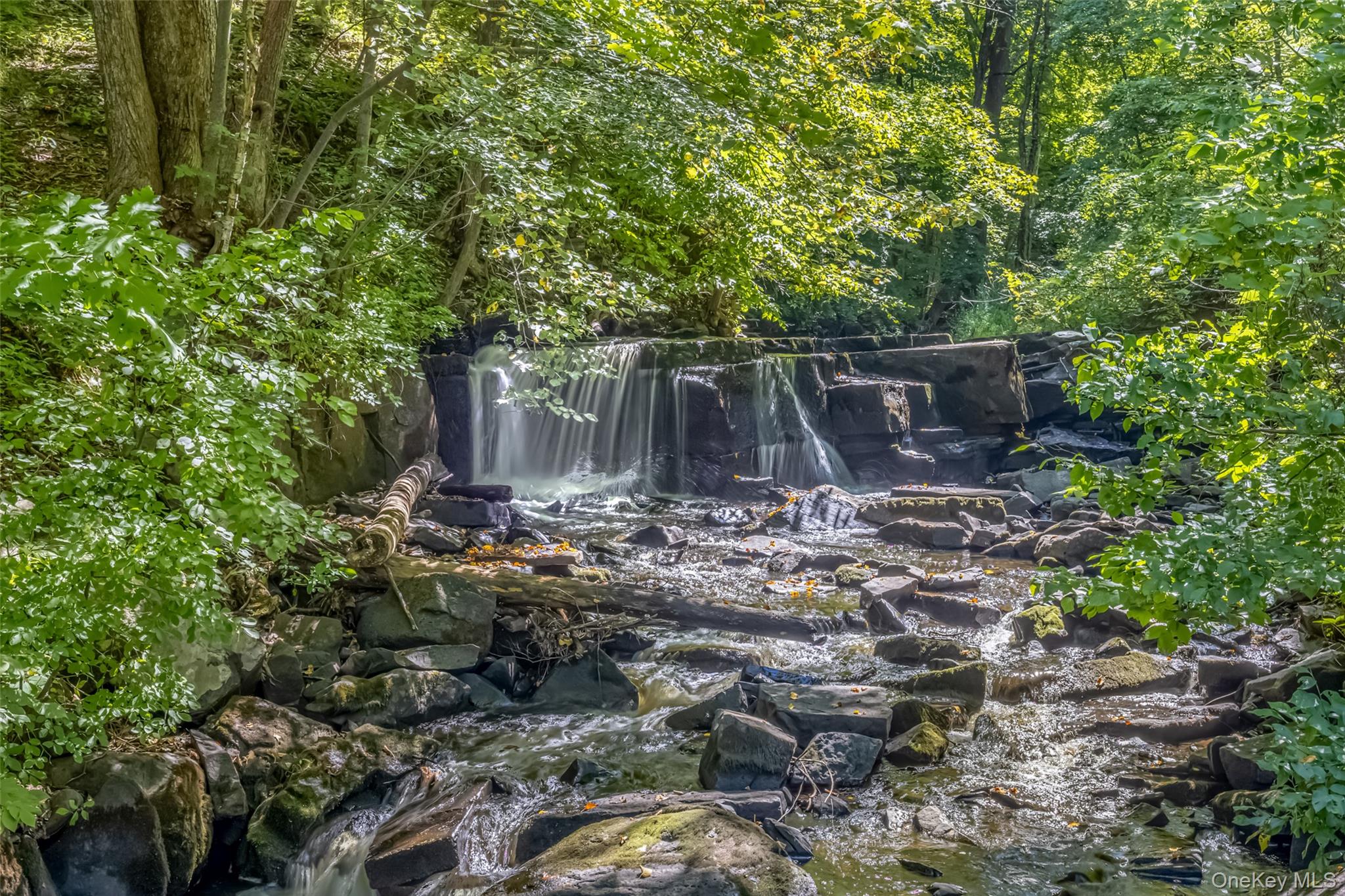 15 Old Mill Road