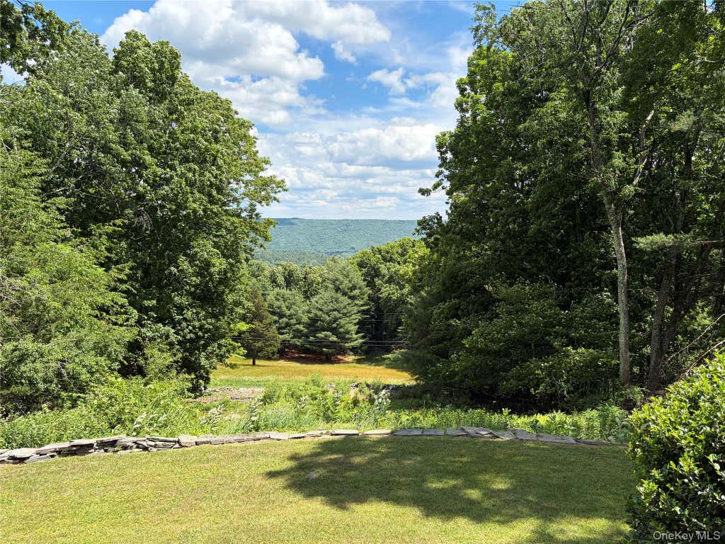 Photo of 249 David Rhodes Road, Wurtsboro, NY 12790 (MLS # 1039820)