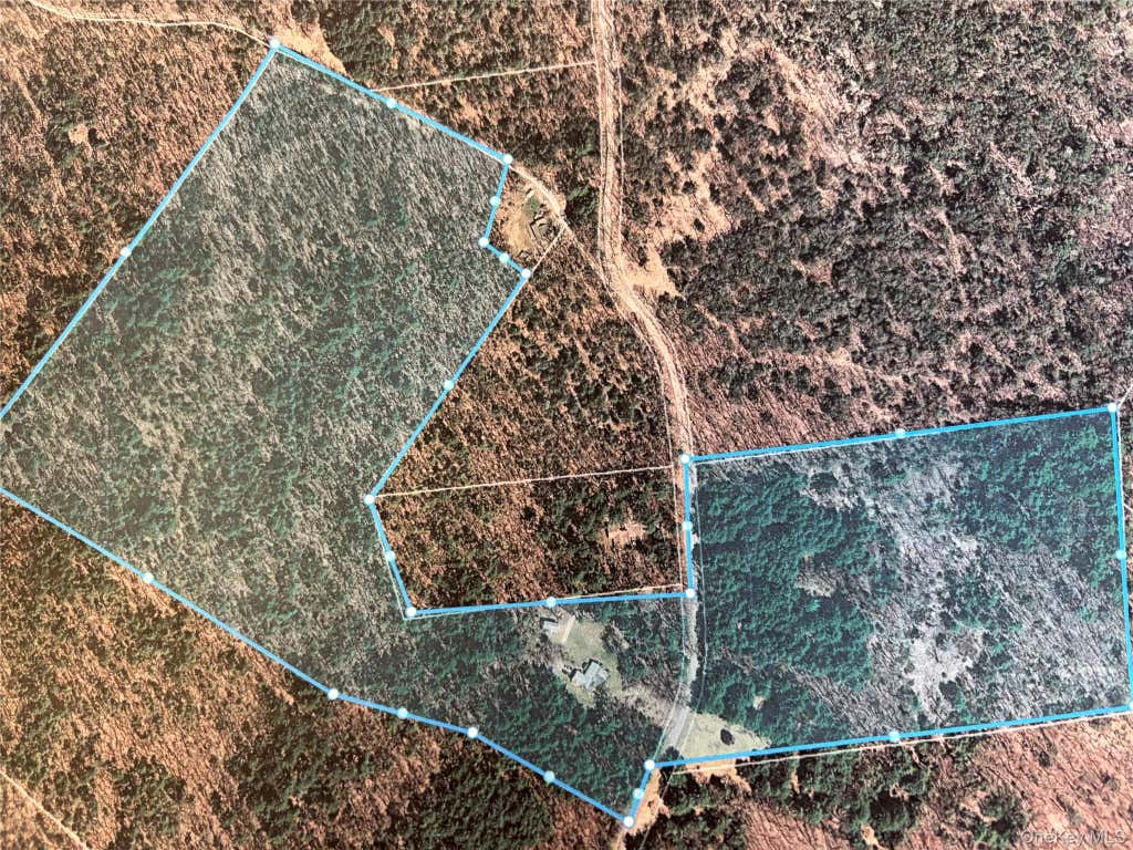 Photo of 249 David Rhodes Road, Wurtsboro, NY 12790 (MLS # 1039820)