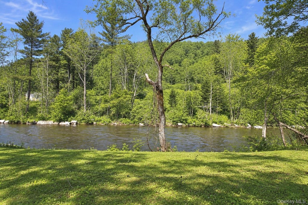 Photo of 53 Yorktown Road, Roscoe, NY 12776 (MLS # 1049419)