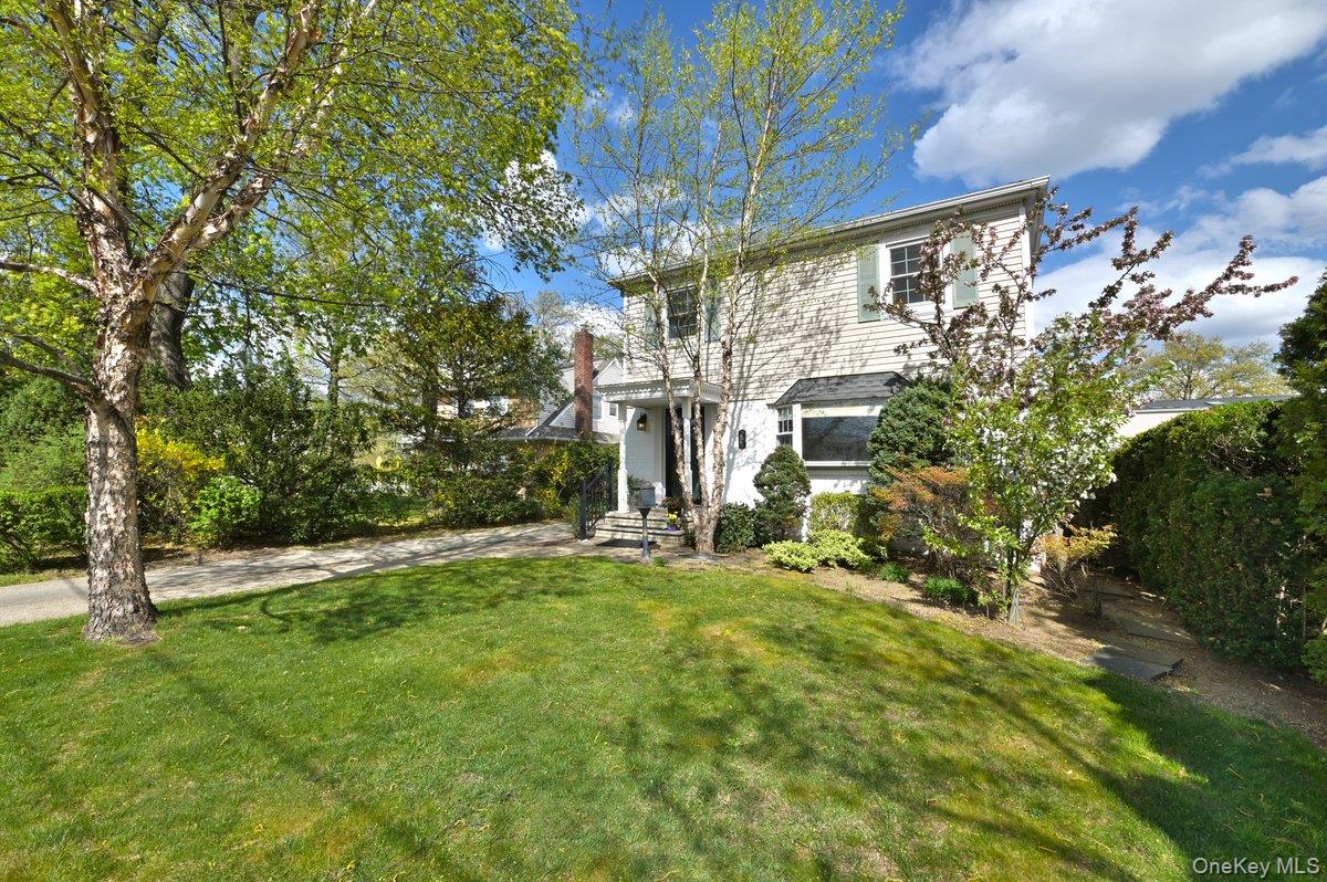 295 New Hyde Park Road