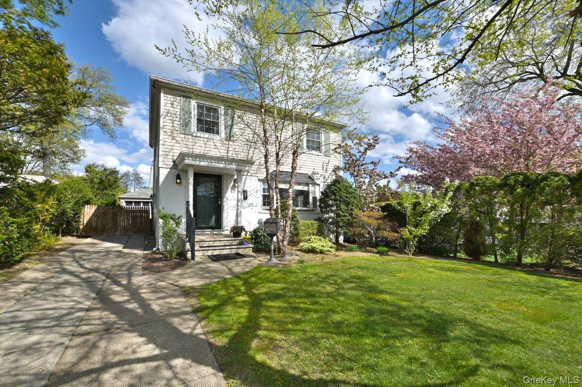 295 New Hyde Park Road