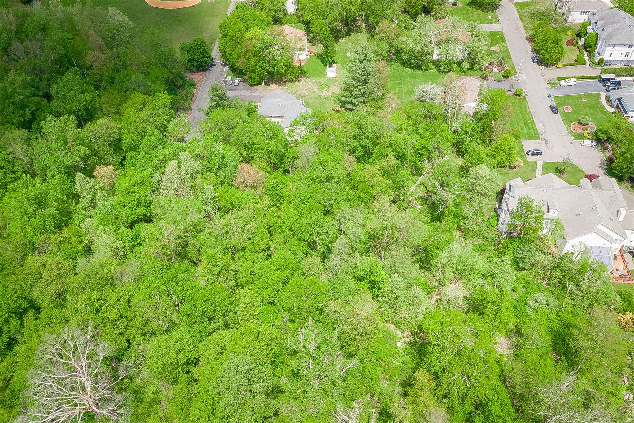33 Pilgrim Lane, Monsey, New York image 3
