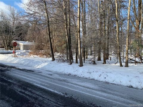 Floral Drive Monticello NY 12701