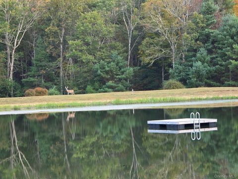 Vacant Land For Sale - Black Bear Court<br/> Barryville, NY 12719