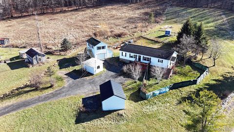 292 County Road 93 Roscoe NY 12776