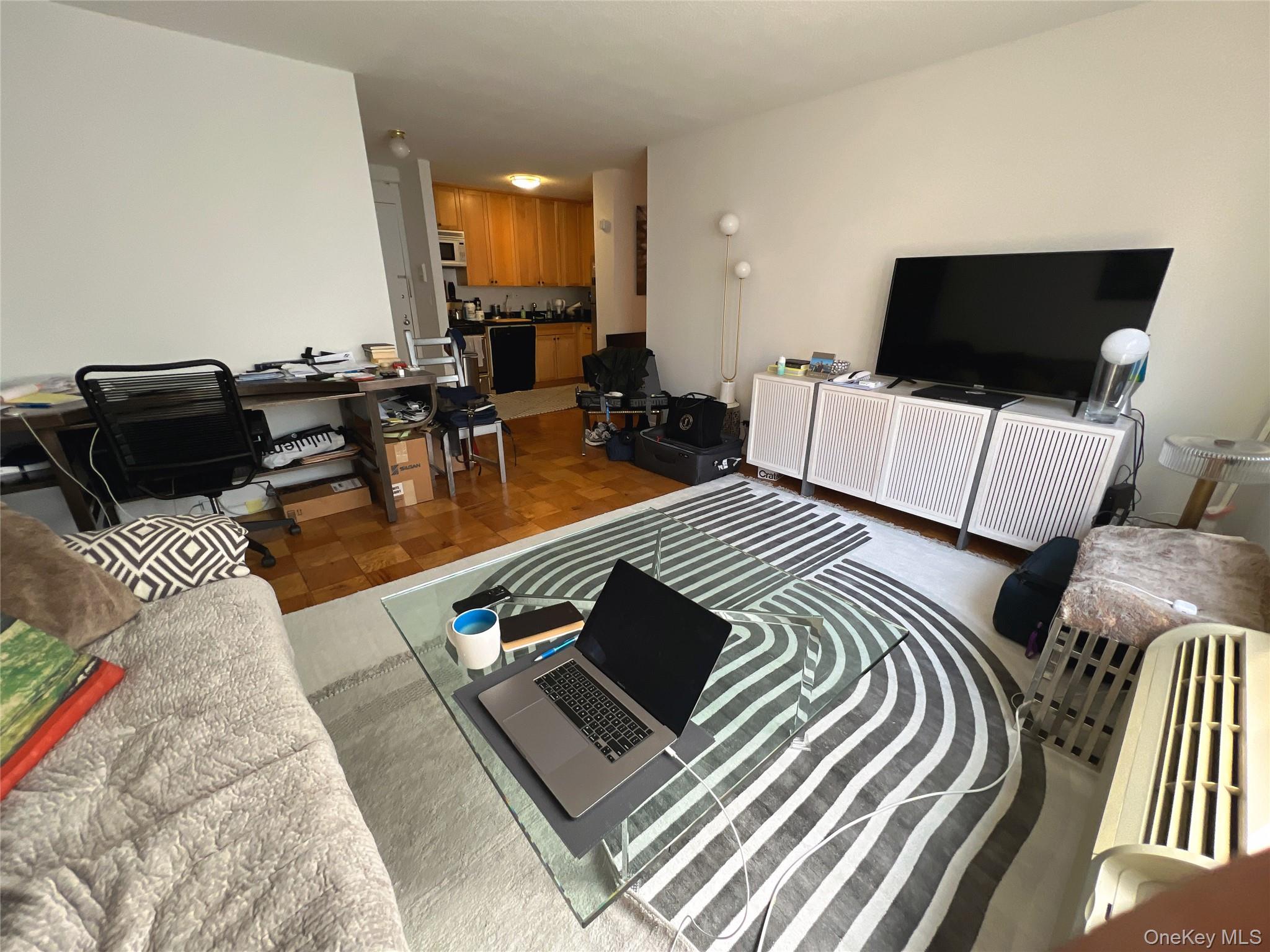 333 E 45th Street 17F