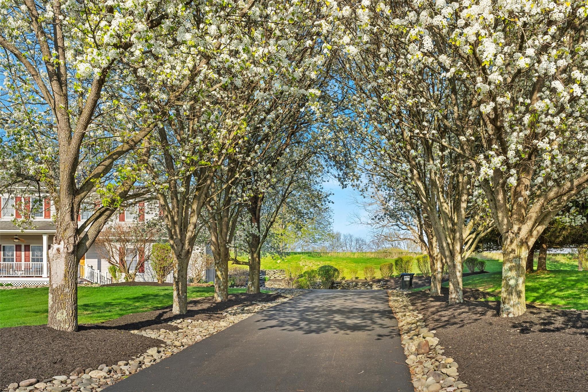 6 Fountayne Court, Washingtonville, New York image 3