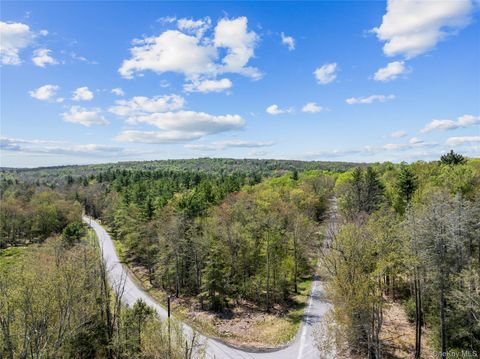 Vacant Land For Sale - Church Rd & Taylor Road<br/> Fallsburg, NY 12733