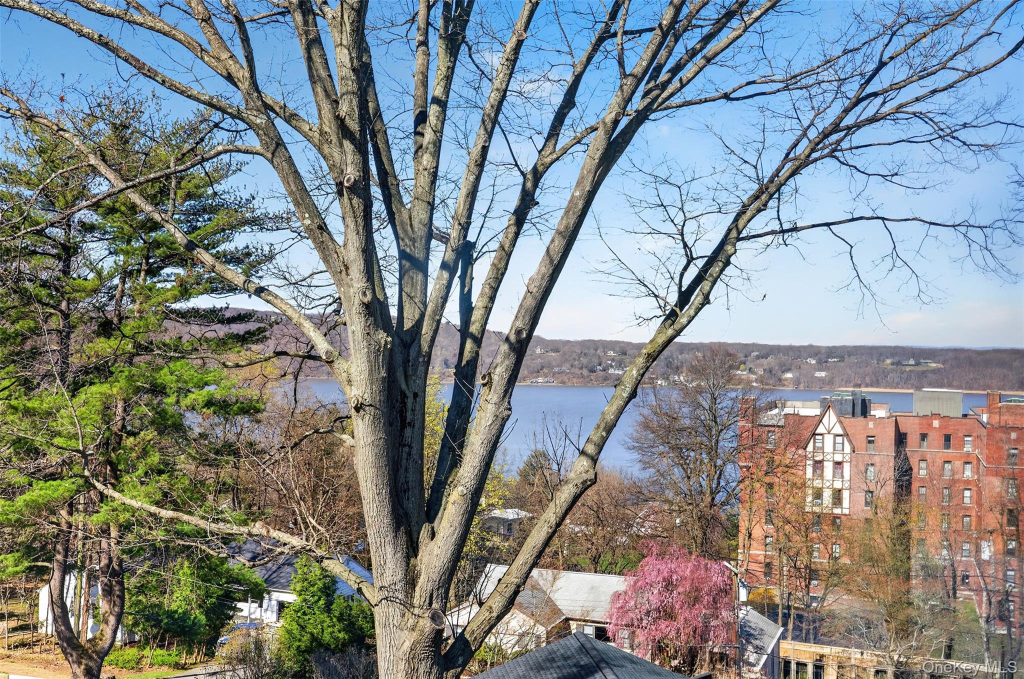 38 Oliphant Avenue 6