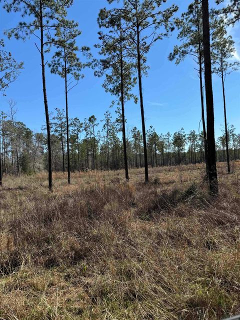 Photo of 081 Private Road 6026, Brookeland, TX 75931 (MLS # 264645)