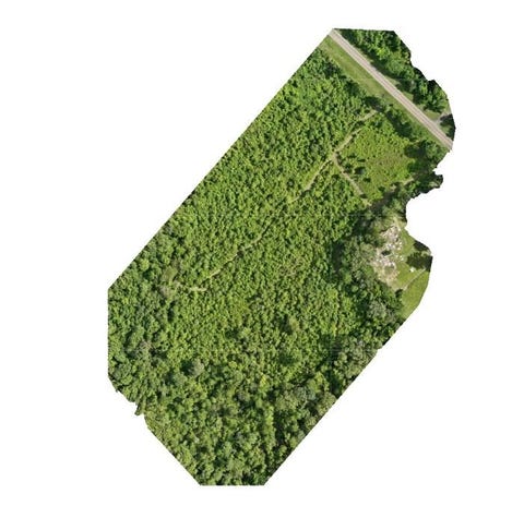 Photo of TBD Fm 1415 S, Burkeville, TX 75932 (MLS # 270070)