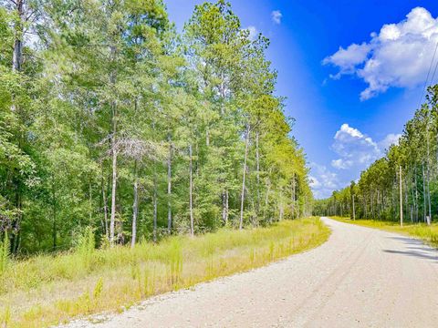 Photo of 9010 Carter Ranch Rd, Kountze, TX 77625 (MLS # 264801)