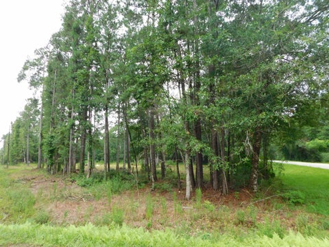 Photo of 4783 BOB WHITE, Silsbee, TX 77656 (MLS # 268423)