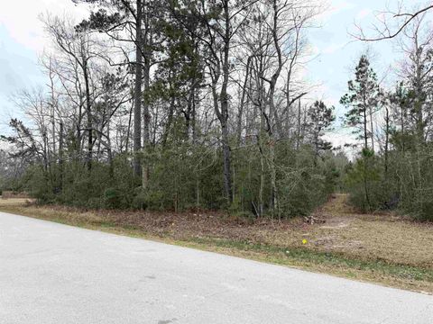 Photo of Lot 42 of 48A Michael Loop, Lumberton, TX 77657 (MLS # 265194)