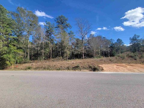 Photo of 9835 Park Road, Lumberton, TX 77657 (MLS # 264299)